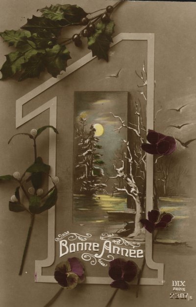 New Year Card by French Photographer